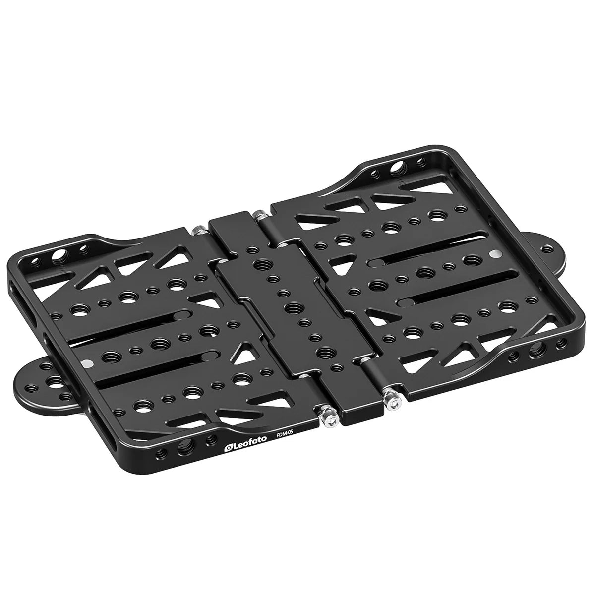 Dual Observation rails