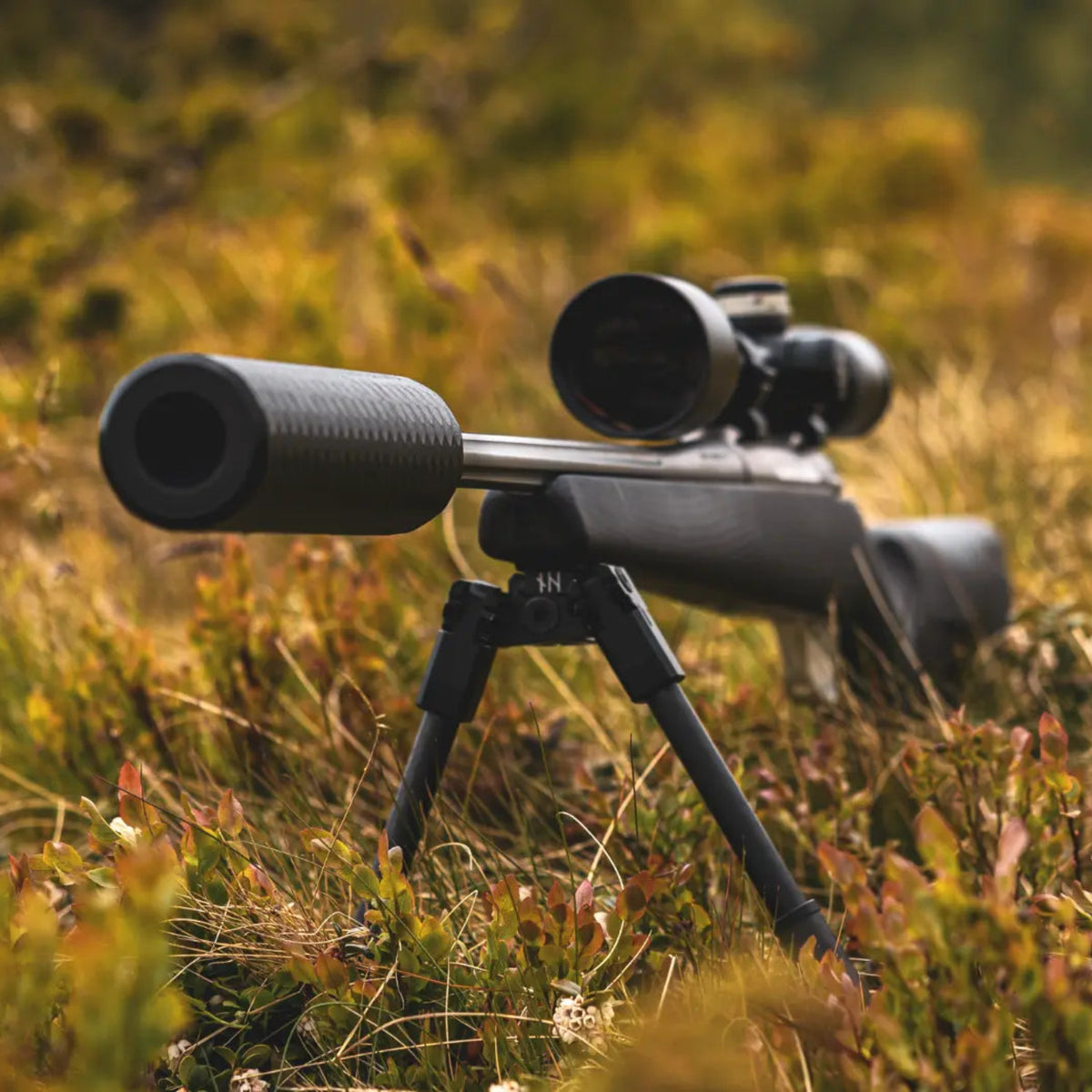 NorneHunt GEN II bipod supporting a scoped hunting rifle among autumn grass and vegetation.