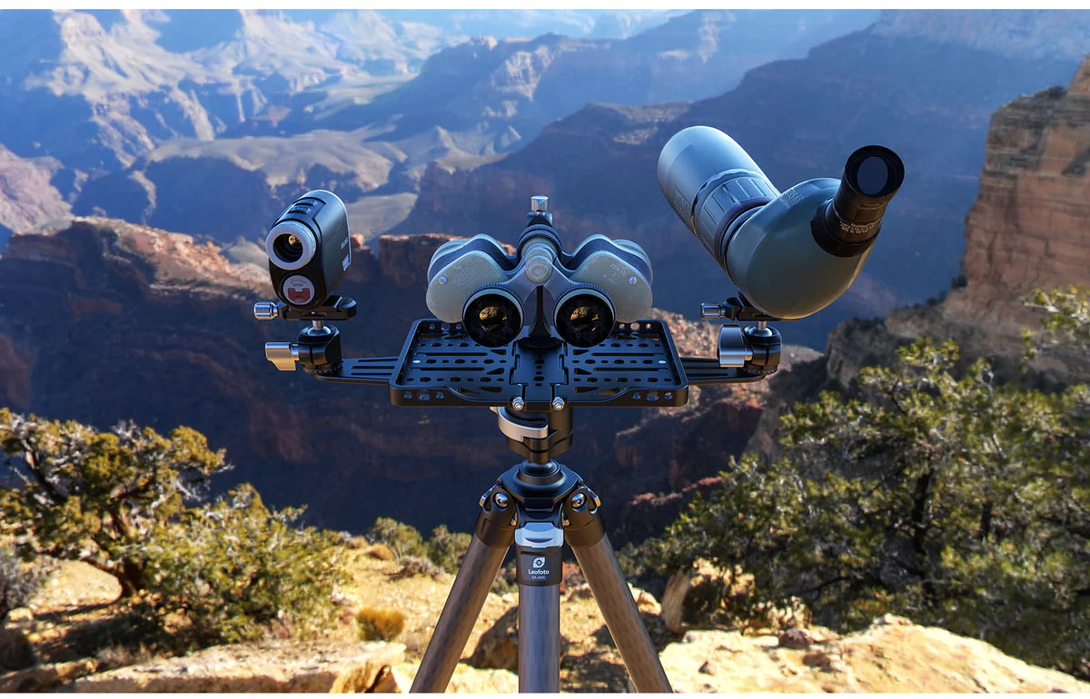 Dual Observation rails